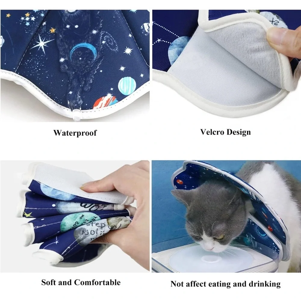 Cat cone